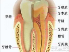 牙髓炎如何快速止痛