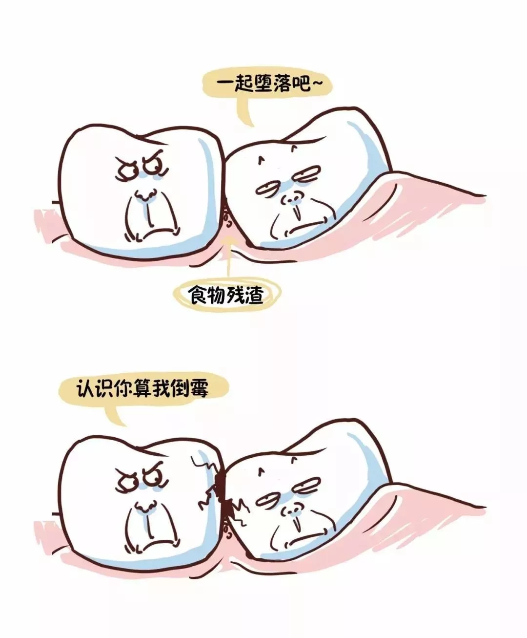 智齿